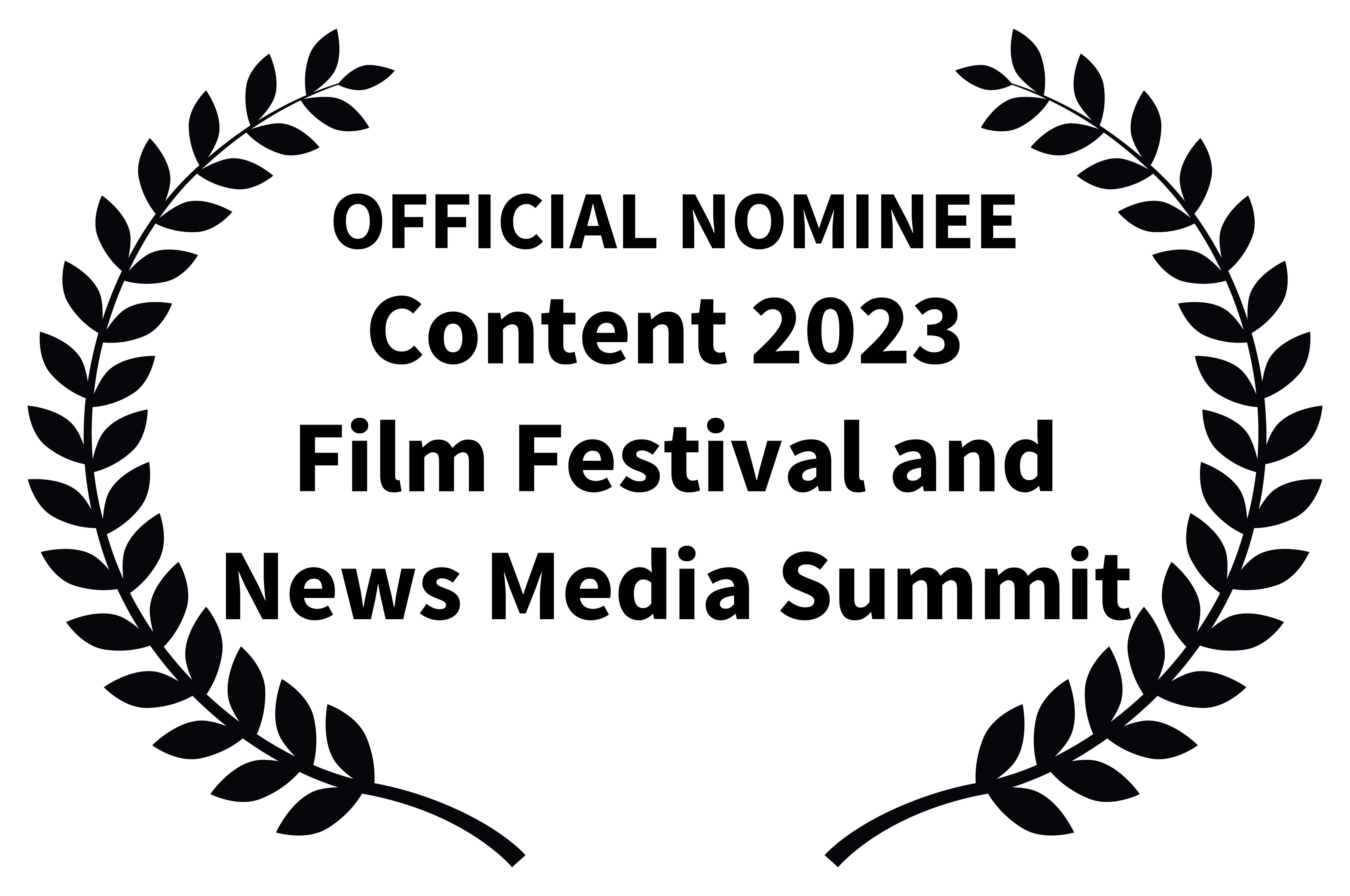 Rainbow in the Night Movie NOMINATED IN 2 CATEGORIES 1. Best Documentary—Storytelling 2. Best Bio/Testimony Film Content 2023 Film and Media Festival Poolville, Texas; Capernaum Studios September 25–29, 2023